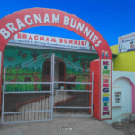 Bragnam Bunnies Preschool Ward No.2 Badi, Himachal Pradesh(H.P)
